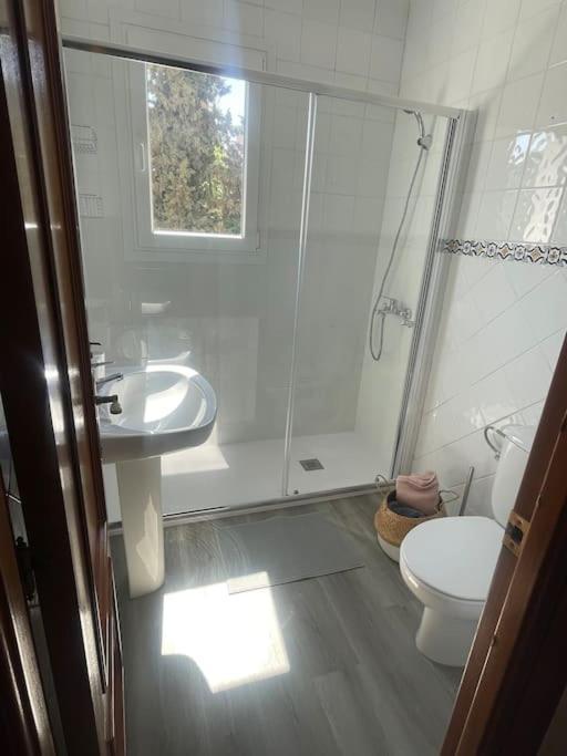 Exclusive Apartamento Limonar 말라가 외부 사진